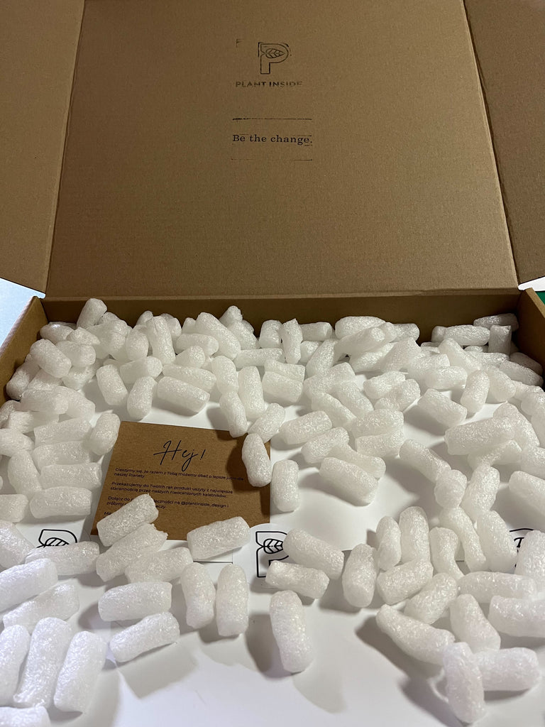 Open cardboard box with Plant Inside logo and thank-you card, showing vegan bag packed in recycled stone paper with eco Skorpak filler – sustainable plastic-free packaging