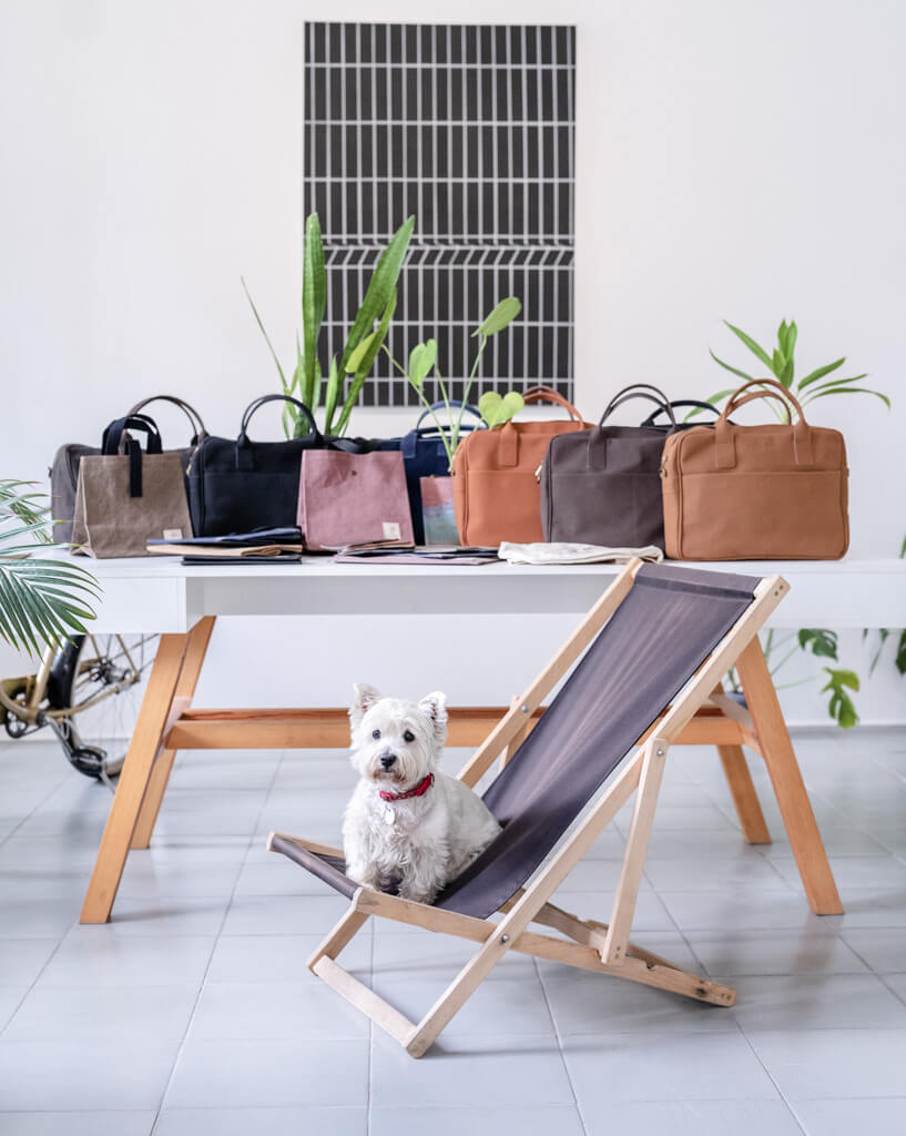 All Plant Inside bags arranged with a white Westie in the foreground – illustrating harmony, purpose, and conscious simplicity