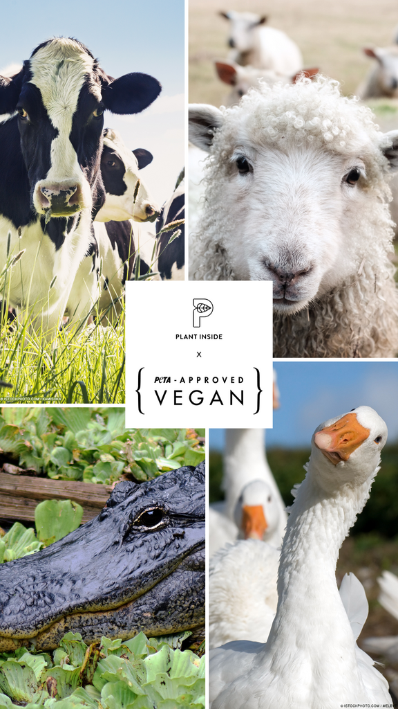 Peta approved eco and plant based sustainable products